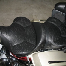 Harley-Davidson Ultra Classic: Dual With Ostrich Inserts
