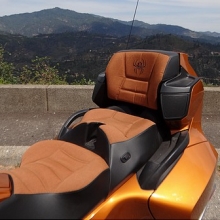 Dual seat with Ginger Sunbrella Inserts, RCP drivers backrest and custom embroidery on passenger backrest.